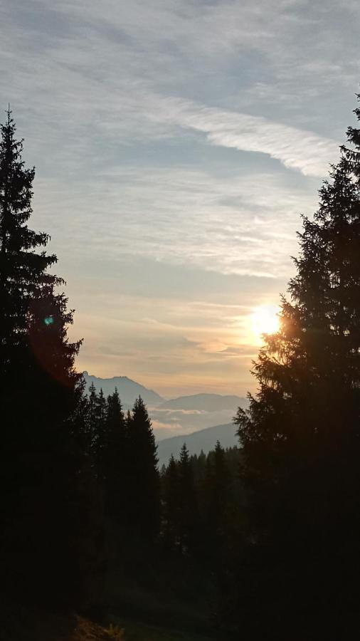 Appartmenthaus Hochkoenig มึลบาค อัม โฮคเคอนิก ภายนอก รูปภาพ