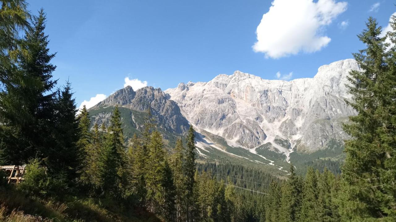 Appartmenthaus Hochkoenig มึลบาค อัม โฮคเคอนิก ภายนอก รูปภาพ