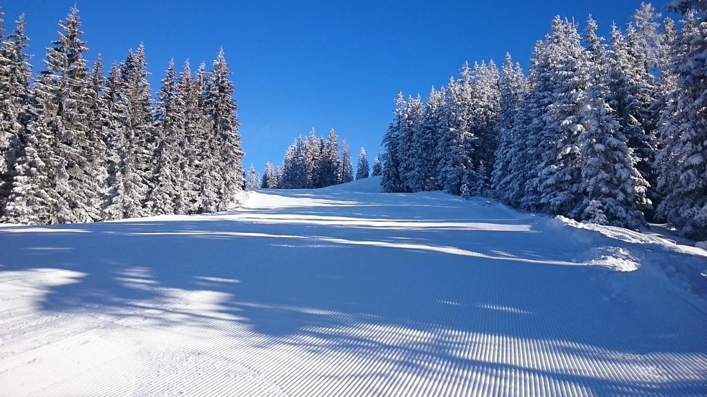 Appartmenthaus Hochkoenig มึลบาค อัม โฮคเคอนิก ภายนอก รูปภาพ